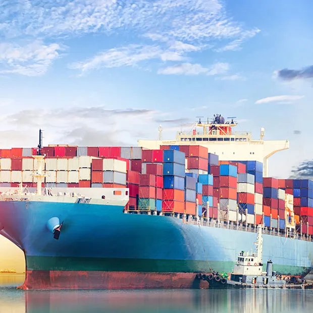 Mitkä kustannukset ovat Sea Freightissa?